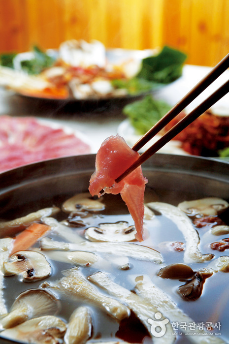 장성 황룡강 홍길동무 꽃길 축제