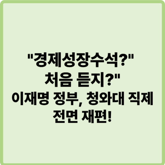 이재명 정부 '경제성장수석' 신설, 무슨 의미일까? 새 청와대 조직 변화 총정리