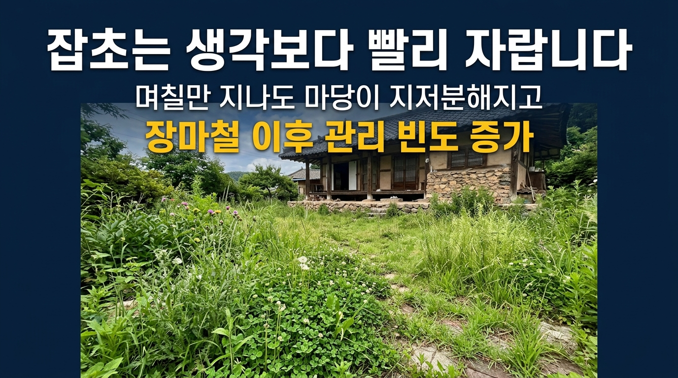 잡초가 생각보다 빨리 자랍니다.