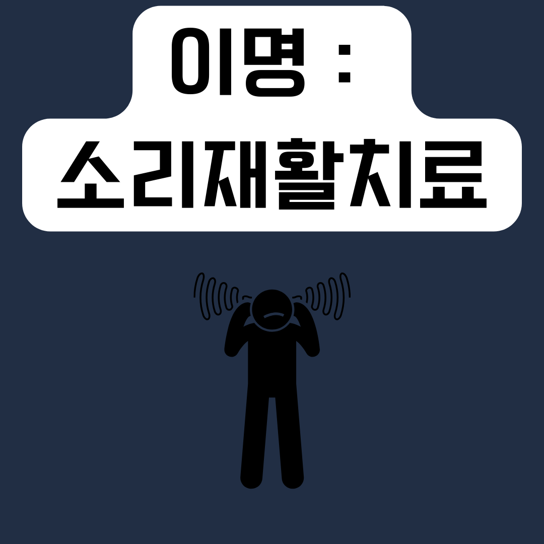 이명-소리재활치료