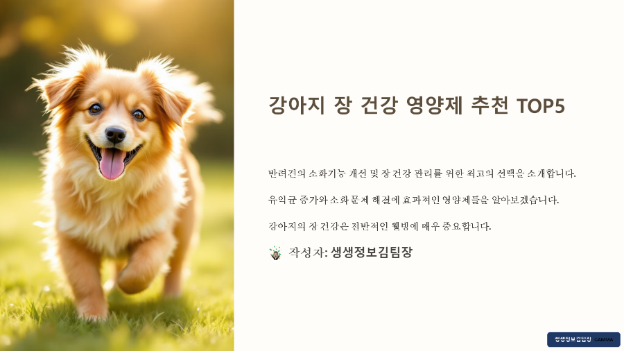 강아지 장 건강 영양제 추천 TOP5