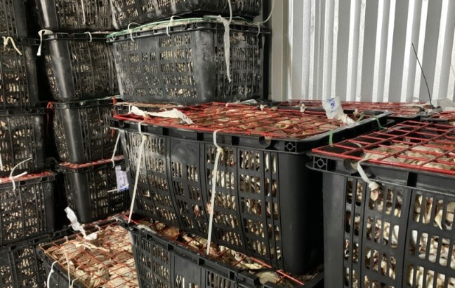 생생정보 음식 X-파일 인천 간장게장 무한리필 맛집 배터지는게장 주문방법