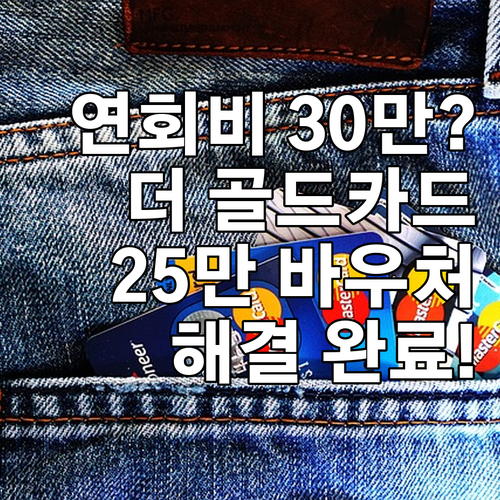 연회비 30만원? 더 골드카드 25만..