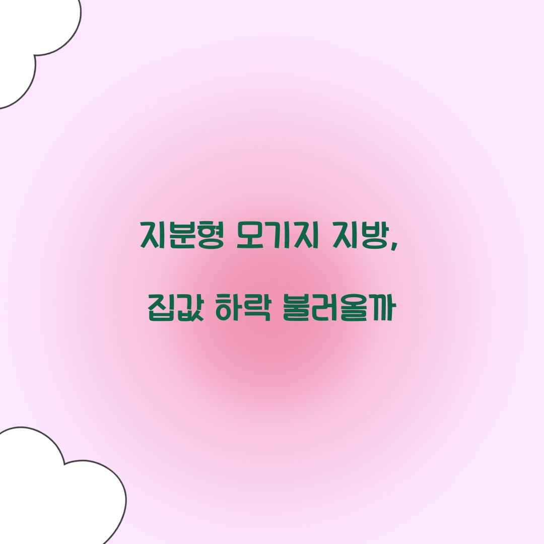 지분형 모기지 지방