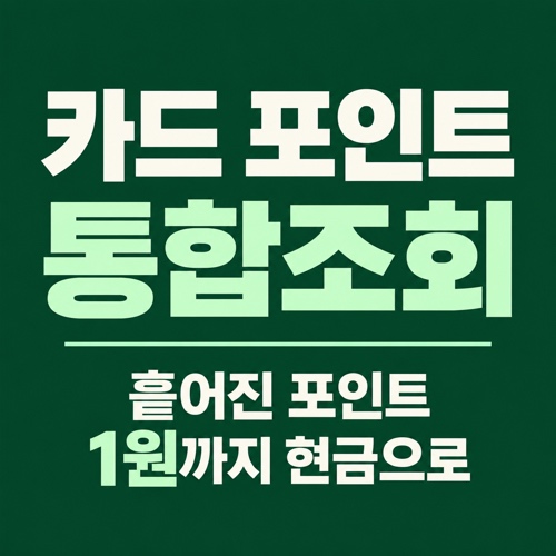 카드 포인트 통합조회와 흩어진 카드 포인트를 현금으로 바꾸는 방법 안내 이미지