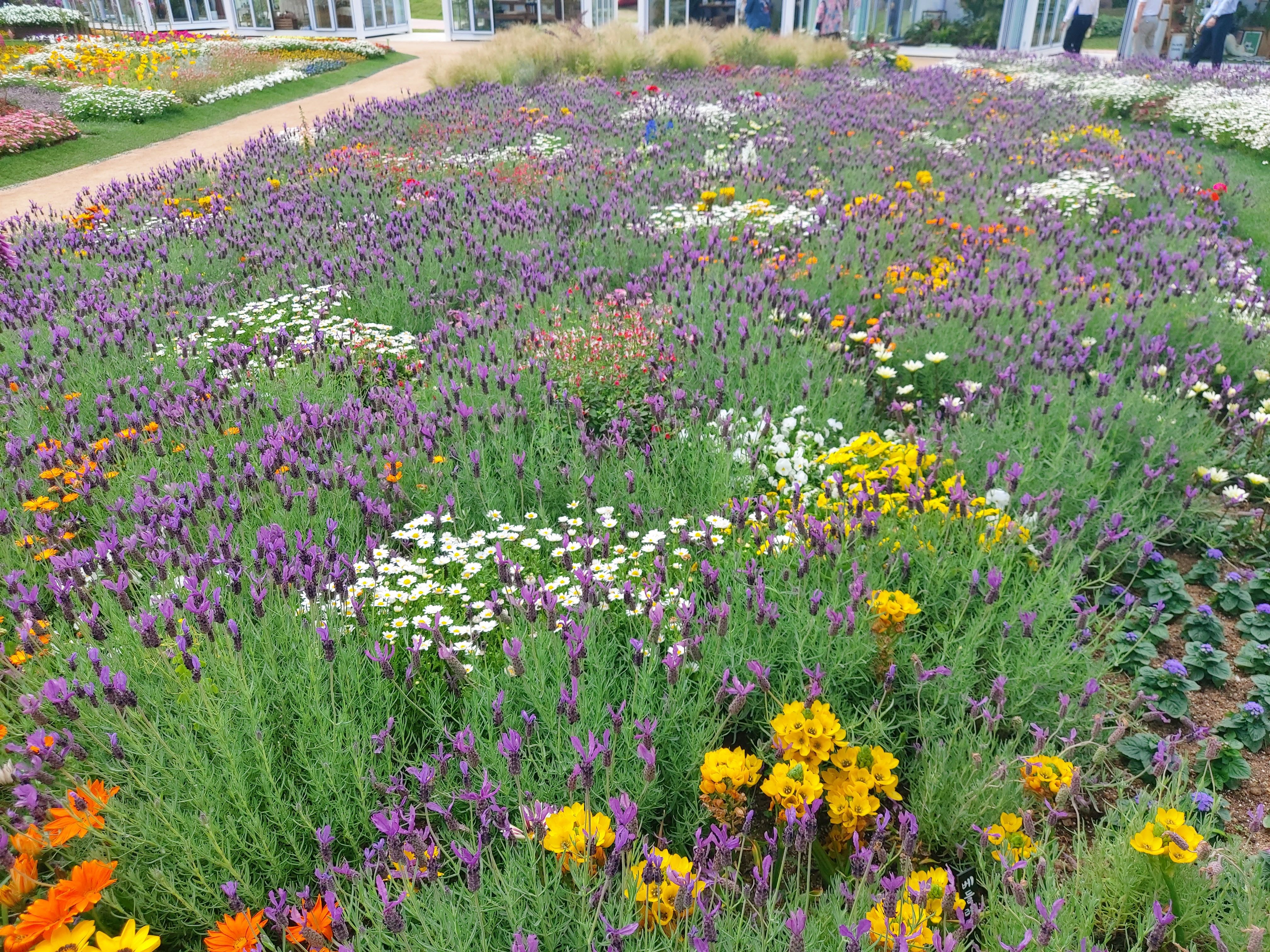 순천만국가정원5월