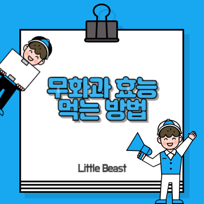 무화과 효능과 먹는 법