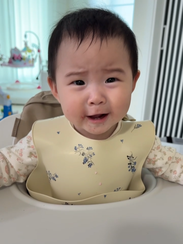 소고기 이유식이 먹기 싫은 아기