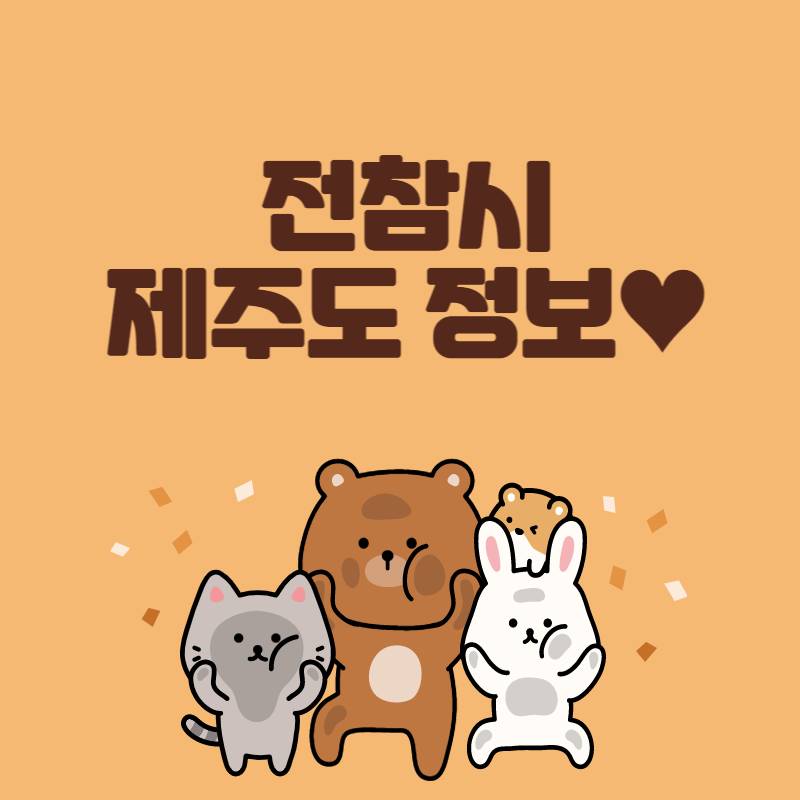 전참시제주도