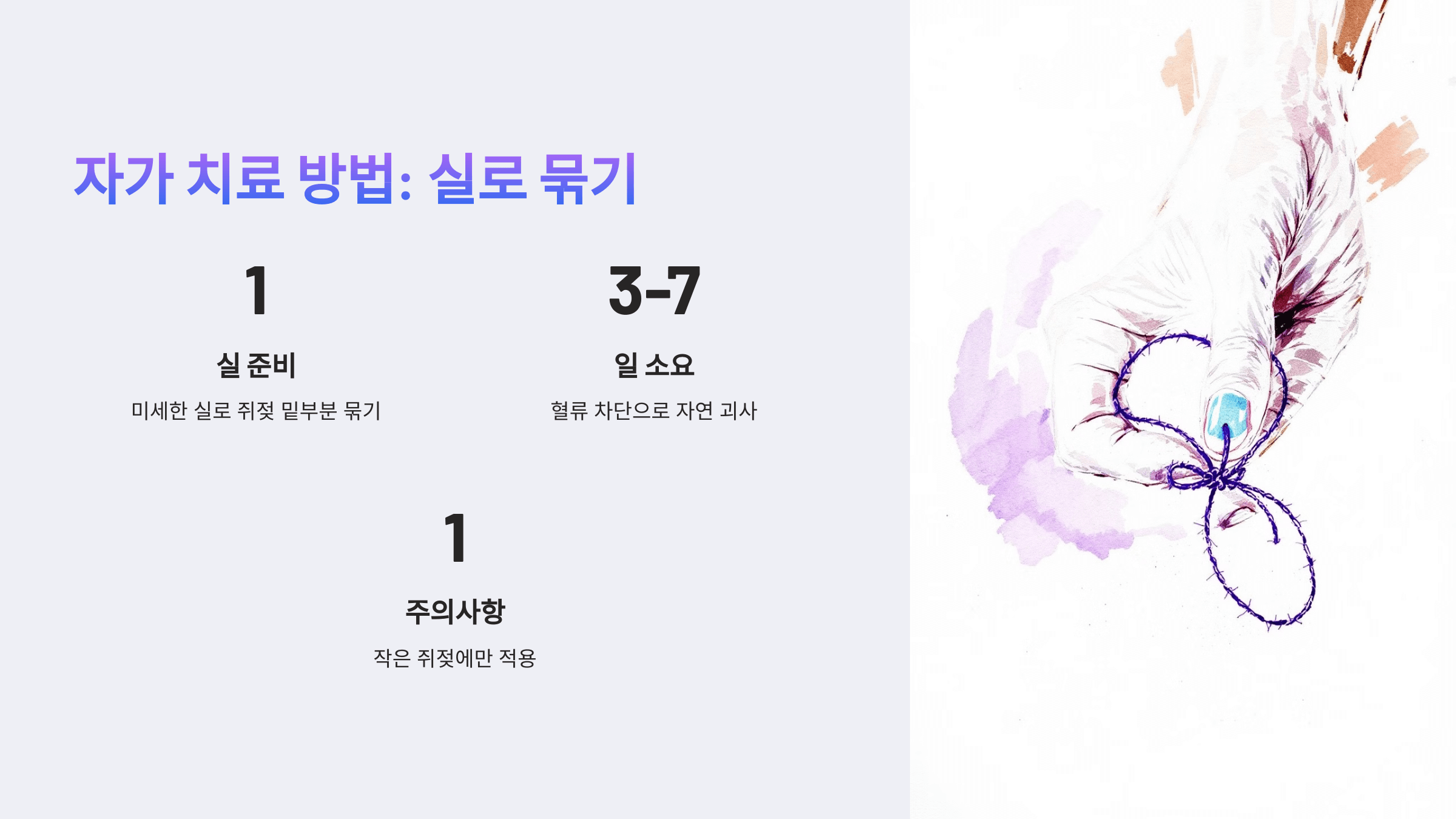 쥐젖과 관련된 사진입니다.