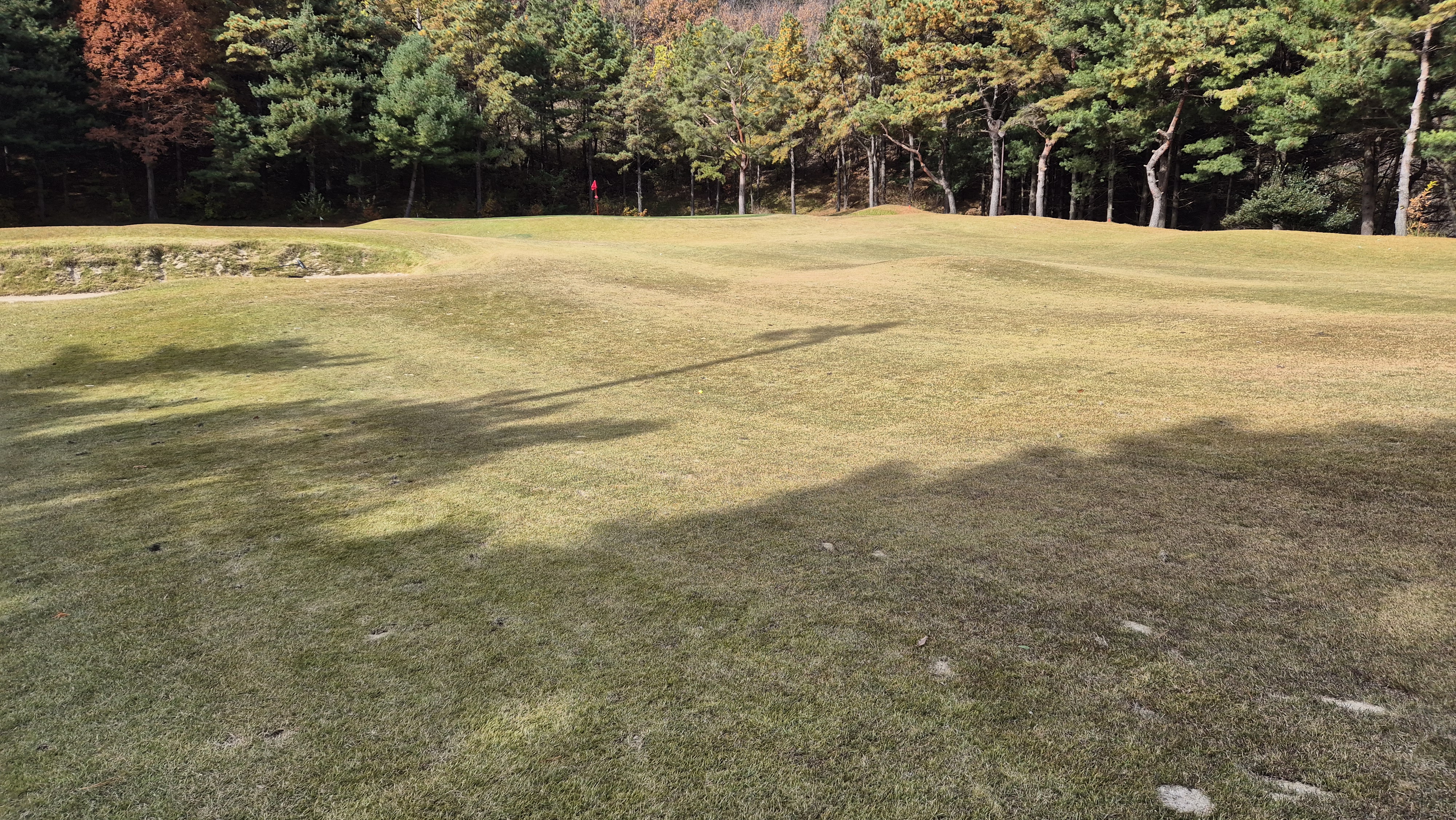 세종에머슨cc 마운틴코스 사진 및 공략 정보