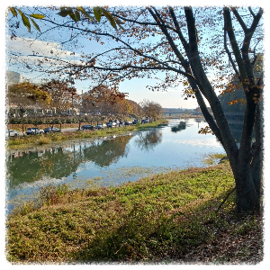 영산강