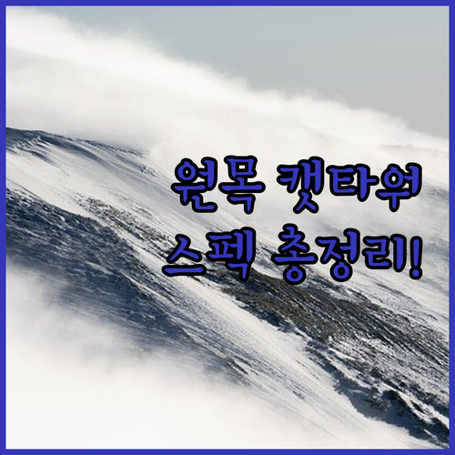 수직 공간 활용을 위한 고양이 원목 ..