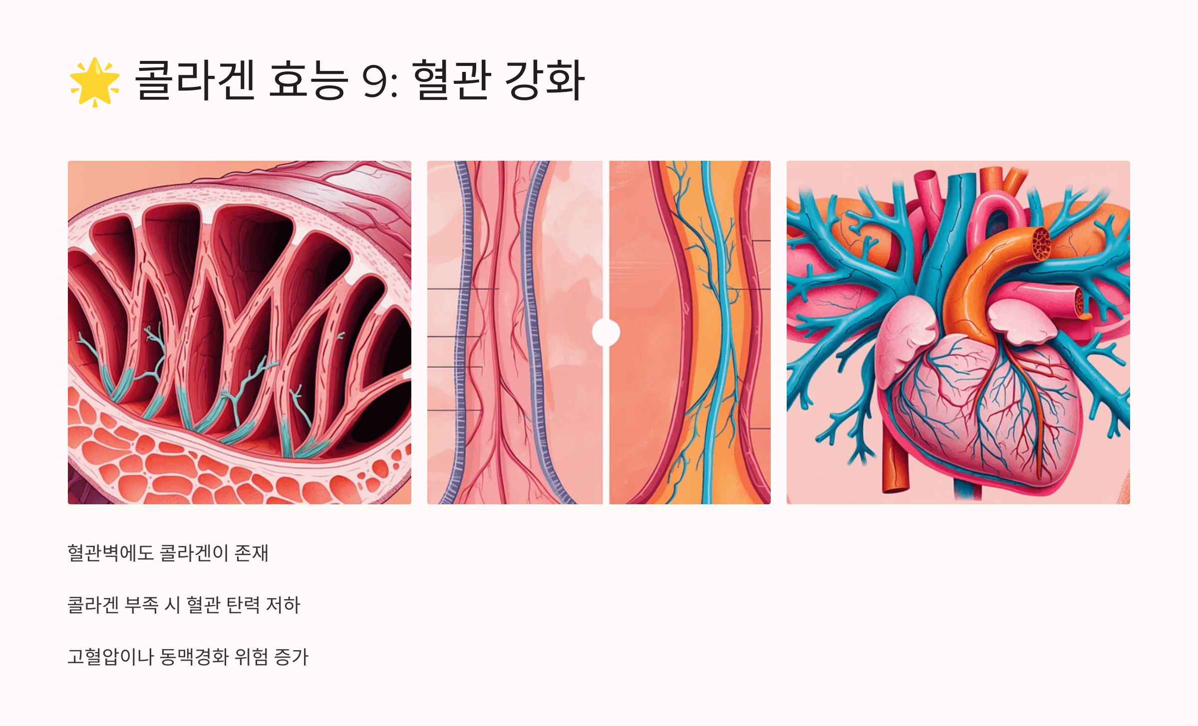 콜라겐과 관련된 사진입니다.