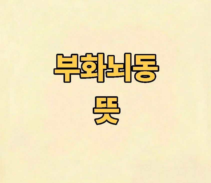 부화뇌동 뜻 유래
