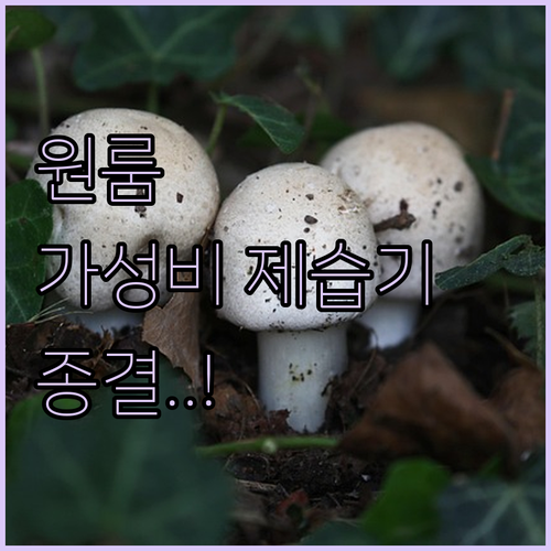 가성비 원룸 제습기 추천 순위 및 장..