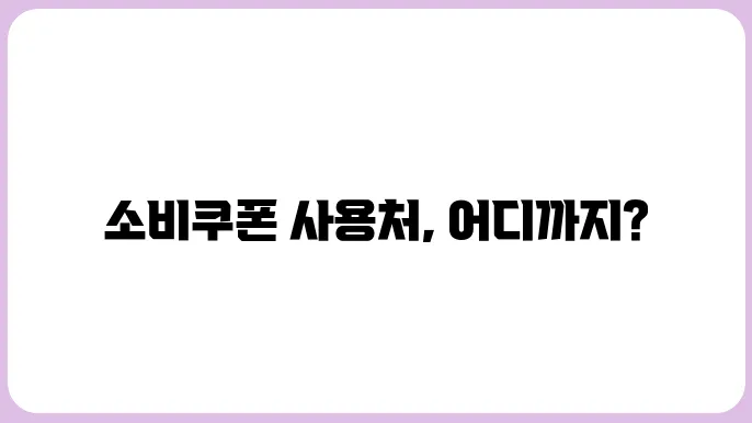 민생회복 소비쿠폰 사욦이 어디까지 가능한가요?
