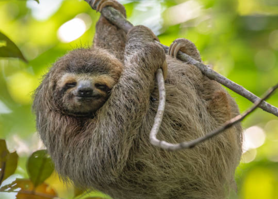 잘못된 아침습관