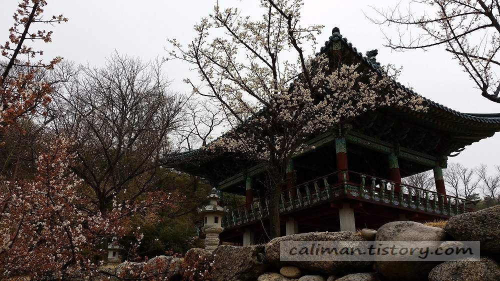 낙산사, 강원 양양군 강현면 낙산사로 100