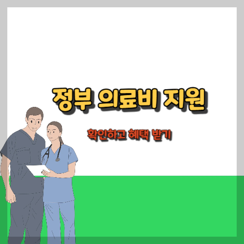 정부 의료비 지원