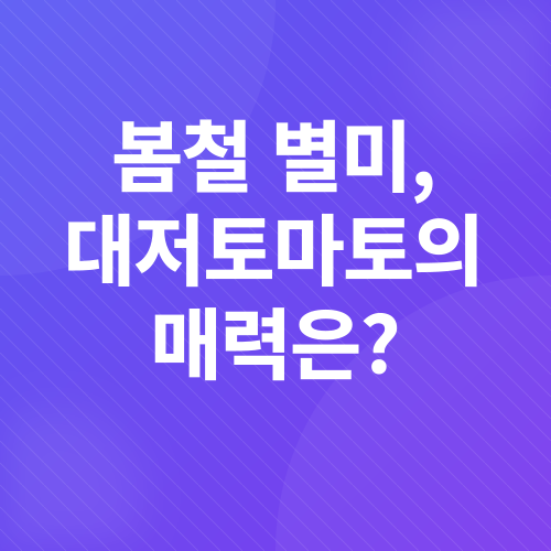 대저토마토_1