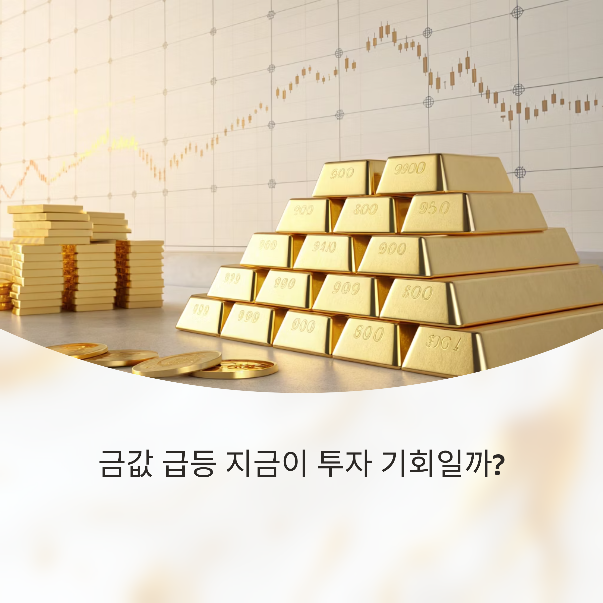 금값 급등 지금이 투자 기회일까?