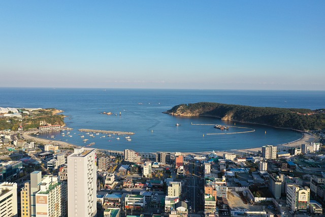 전국 해돋이 명소(울산)