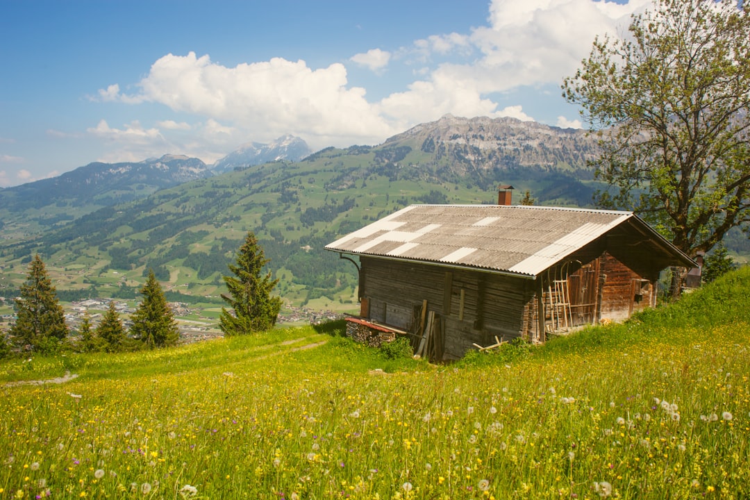 Cottage