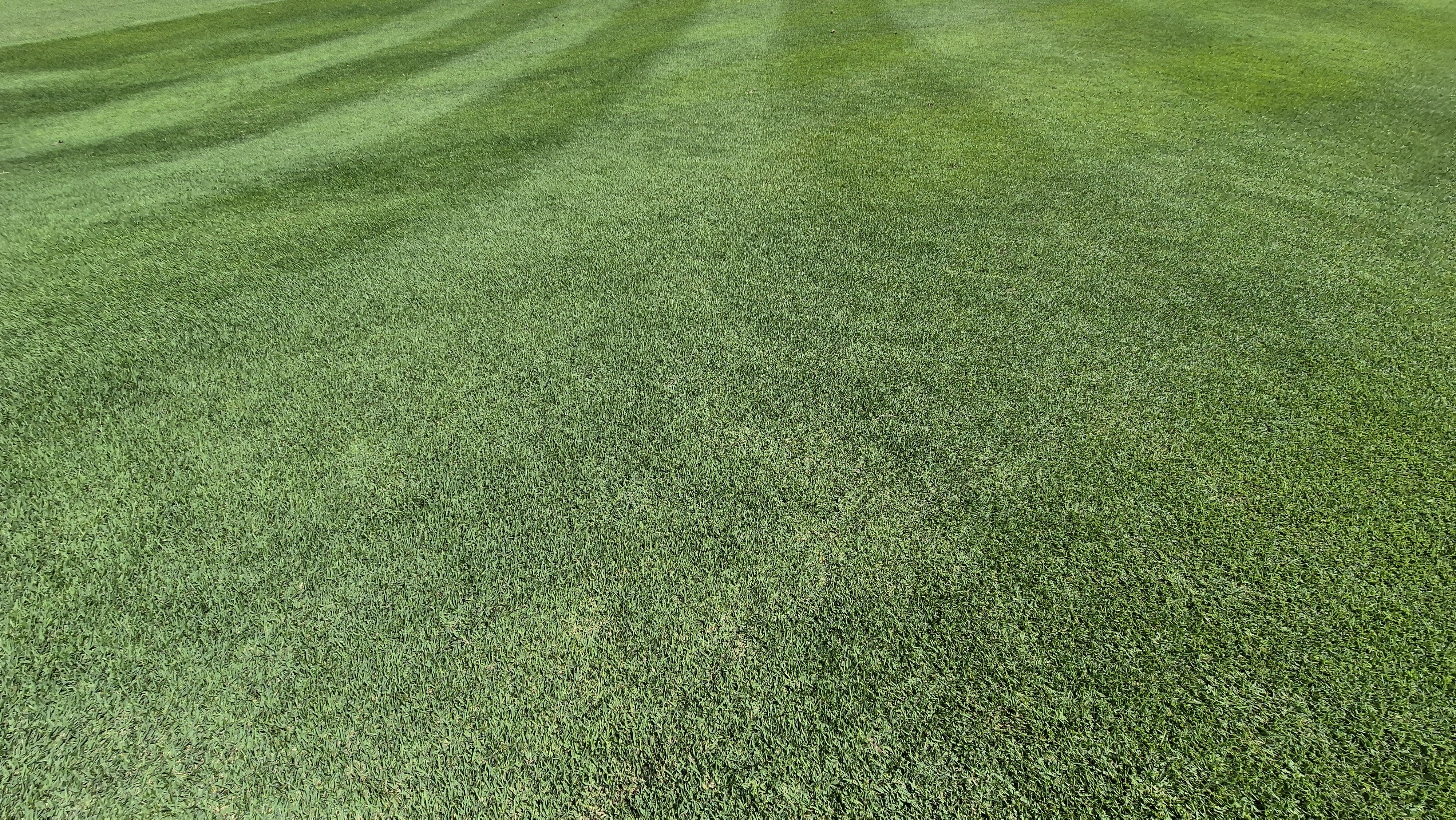 골프존카운티 화랑 라운드 후기