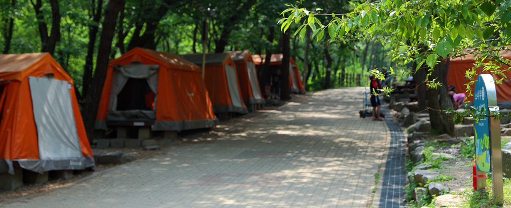 서울대공원 캠핑장2