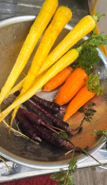 6시내고향-제주-삼색당근