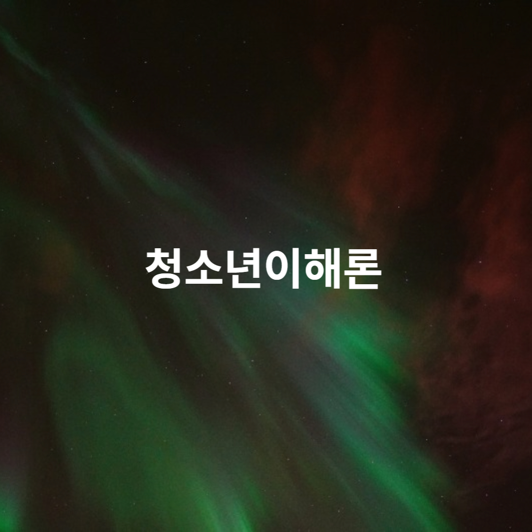 청소년이해론