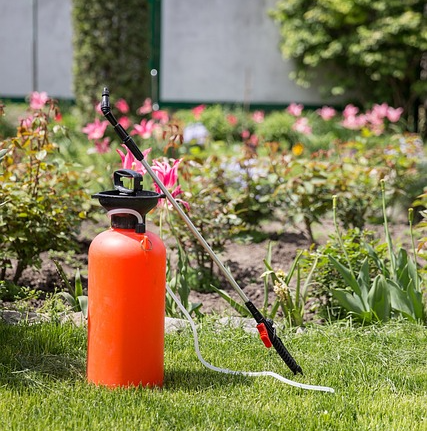 천연 살충제 제조 및 사용법