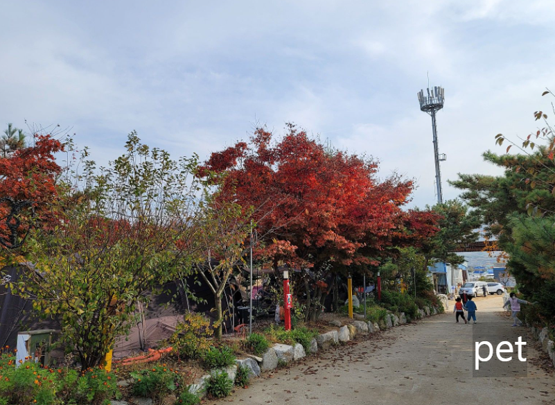 경기-인천-행복한소풍캠핑장-예약-방법-애견-동반-가격-주소-시간-후기