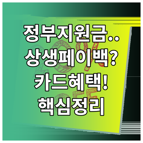 정부 지원금 상생페이백, 카드 실적 ..