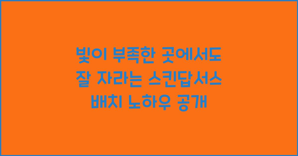 빛이 부족한 곳에서도 잘 자라는 스킨답서스 배치 노하우