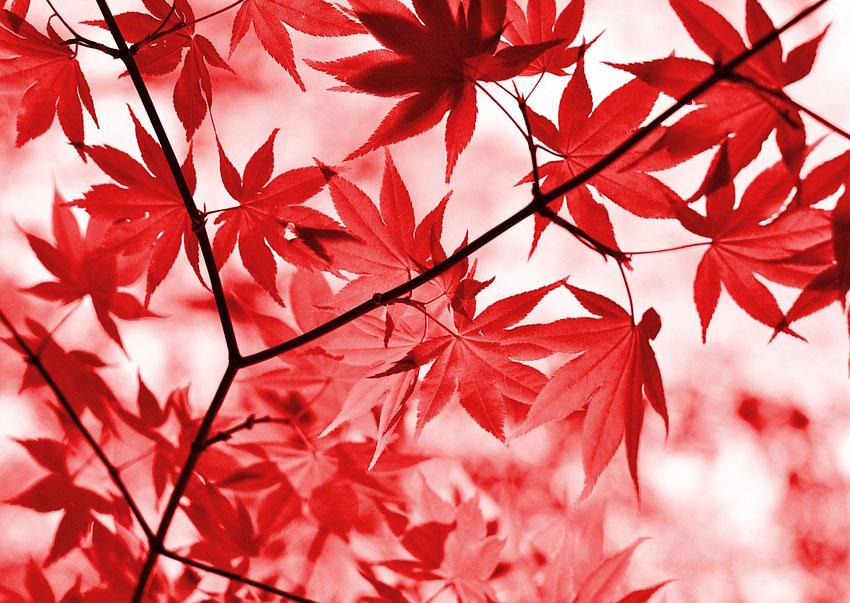 설악산 케이블카