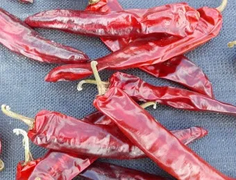 영양 고추 가격 시세 10근가격 현재 농산물 시세_13