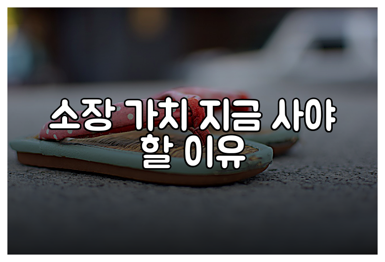 소장 가치 지금 사야 할 이유