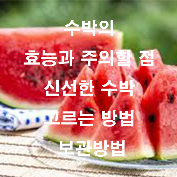 수박의 효능과 주의할 점 신선한 수박 고르는 방법 보관방법