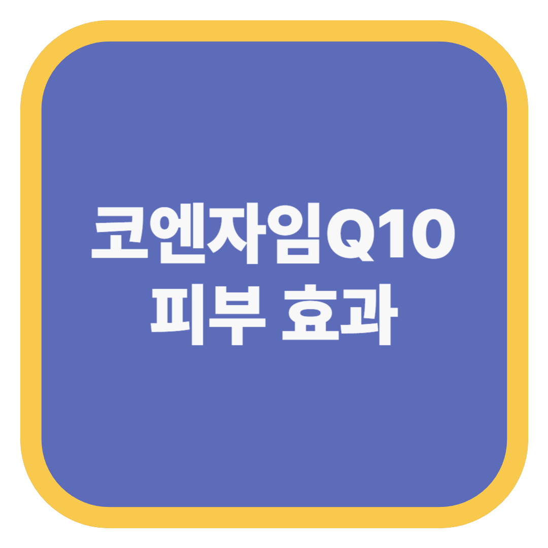 코엔자임Q10 피부 효과