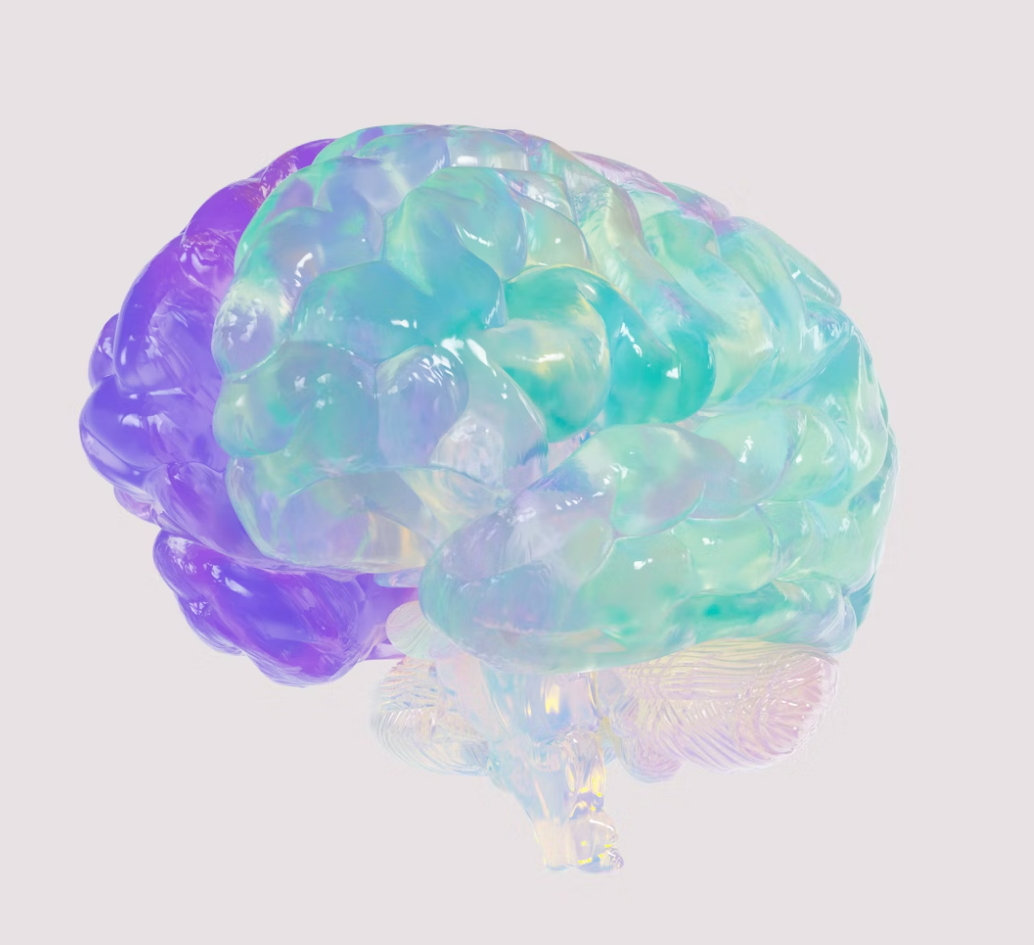 당신의 뇌는 지금 변하고 있다