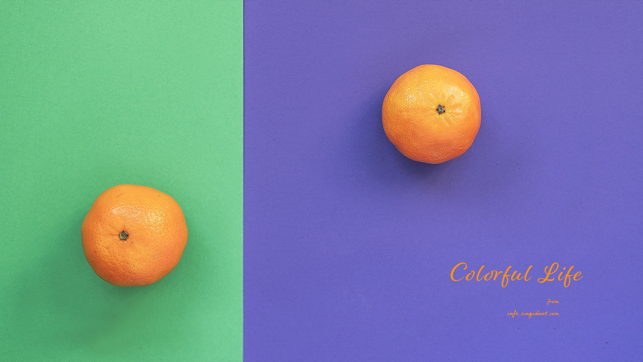 08 감귤 보라색 배경 C - Colorful Life 주황색배경화면