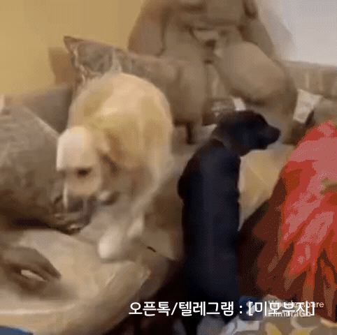 2월 7일 신문스크랩