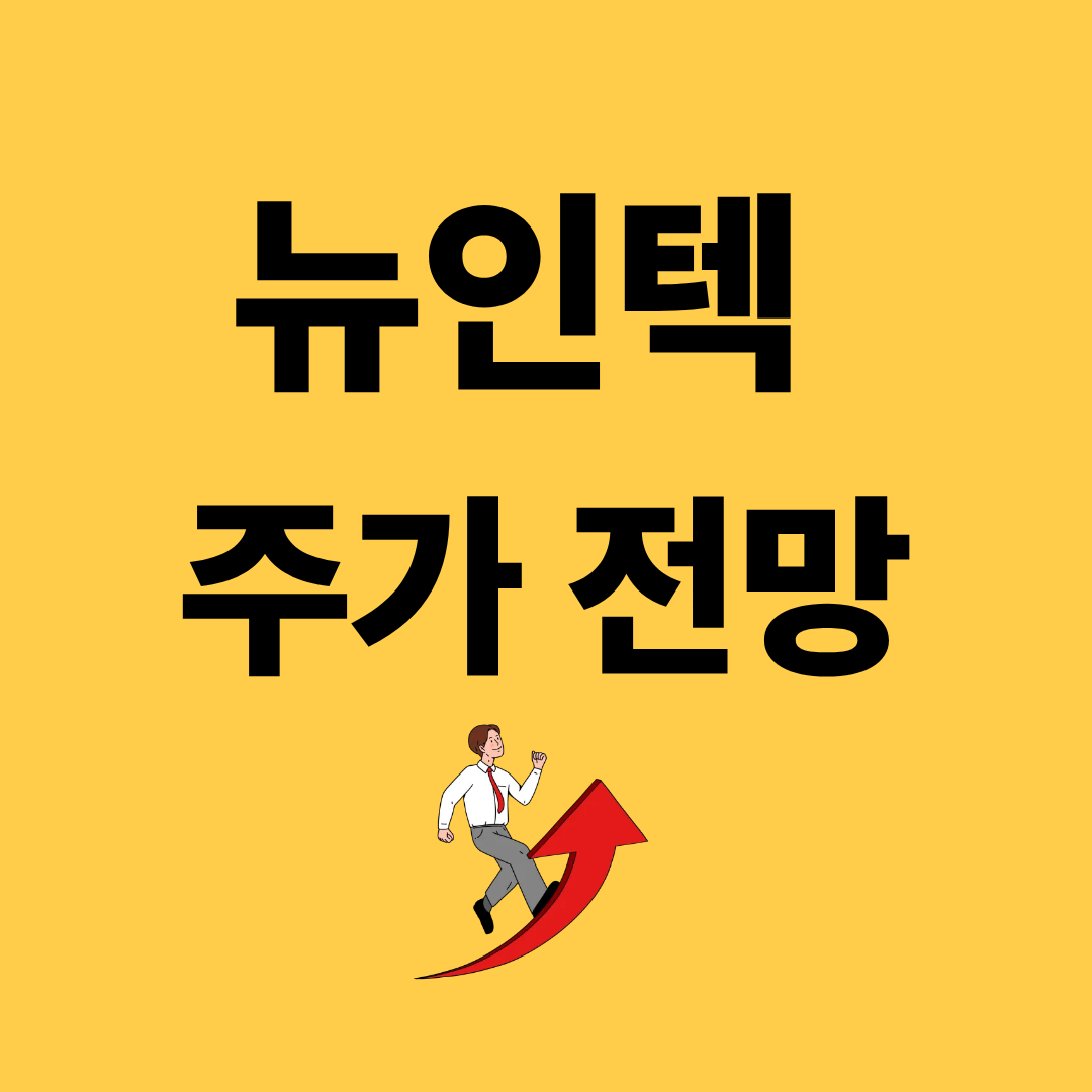 뉴인텍 주가 전망