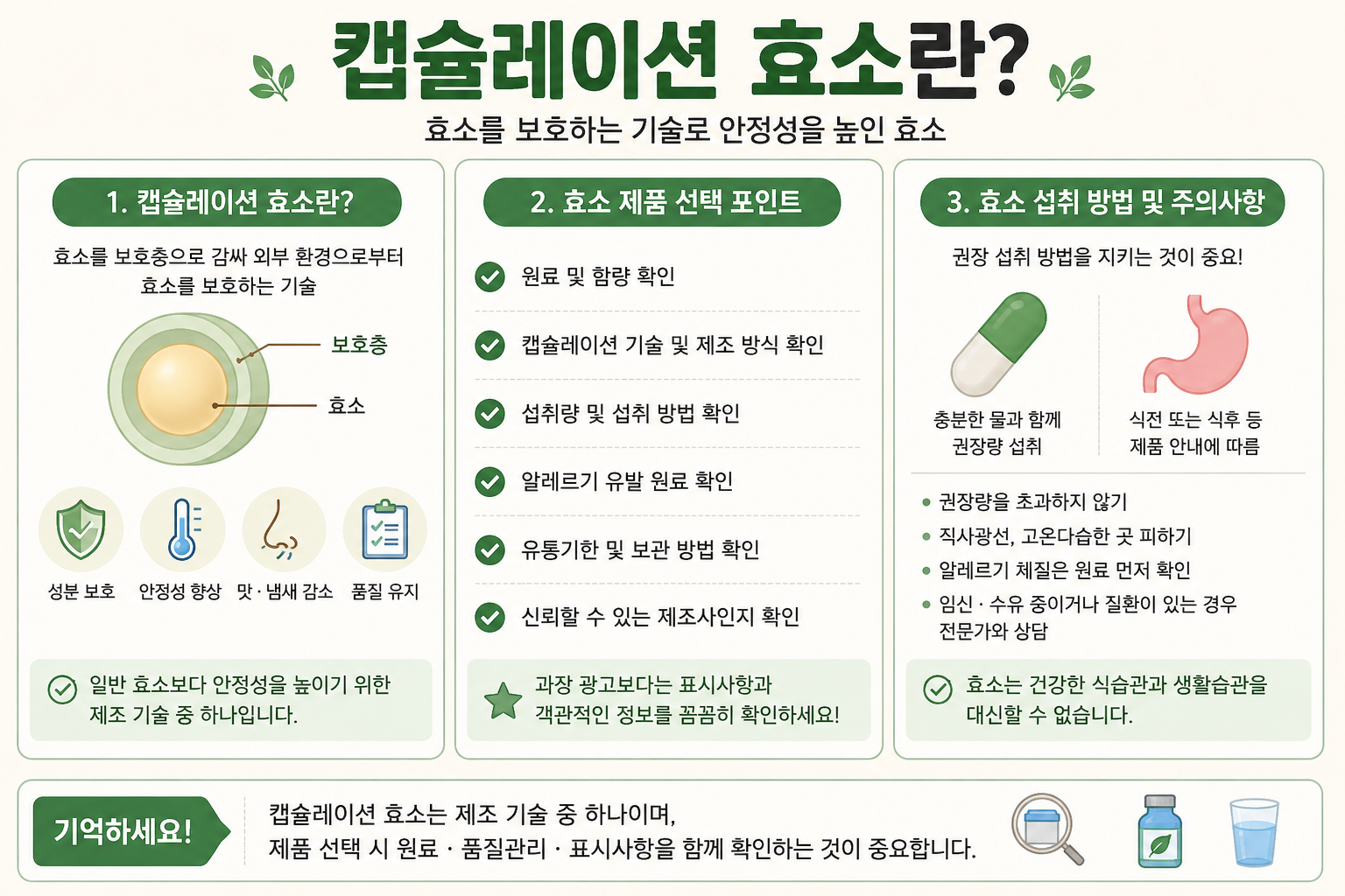 캡슐레이션 효소란