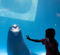 대구아쿠아리움