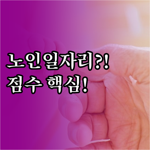 노인일자리 유형별 선발 점수 저소득 ..