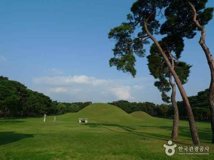 경주 오릉