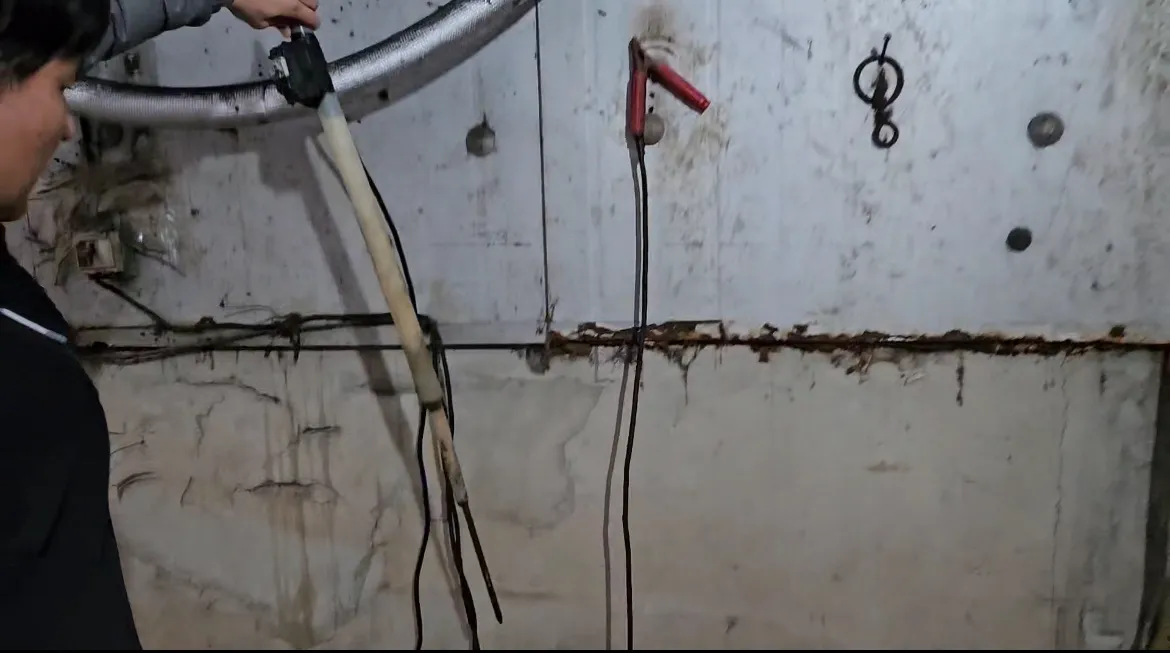 의정부 개 도살 현장